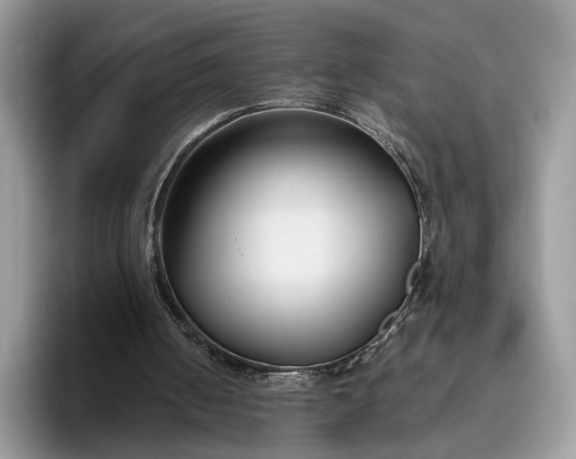 X0000095930050200801251058
