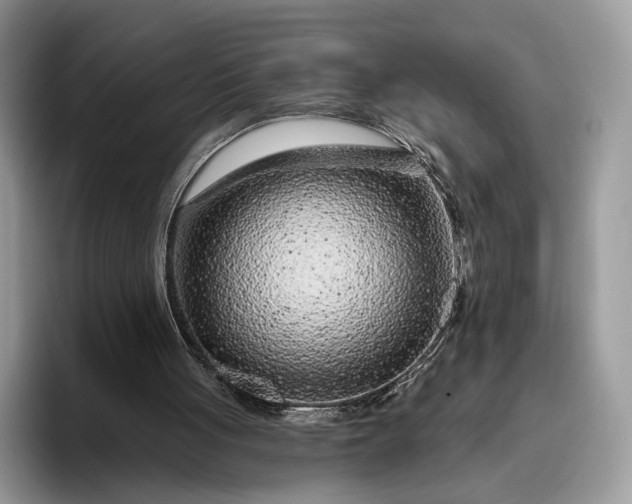 X0000095930051200801251058