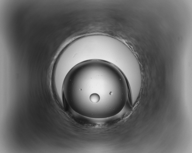 X0000095930056200801251058