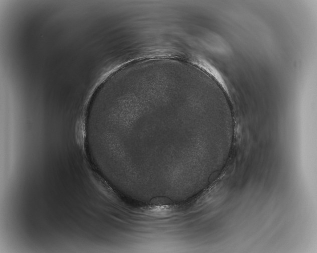 X0000095930059200801251058