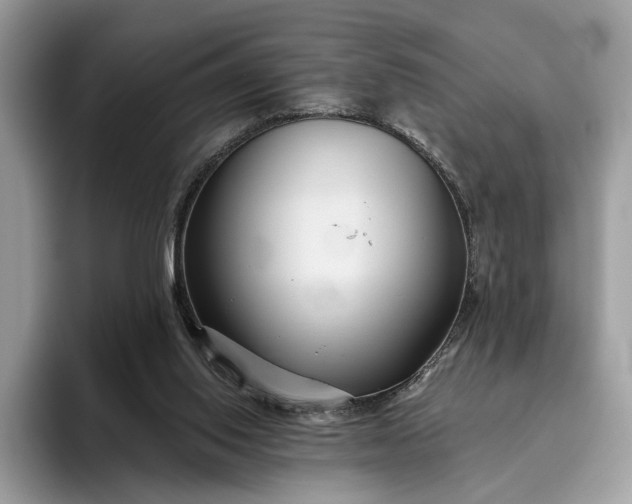 X0000095930062200801251058