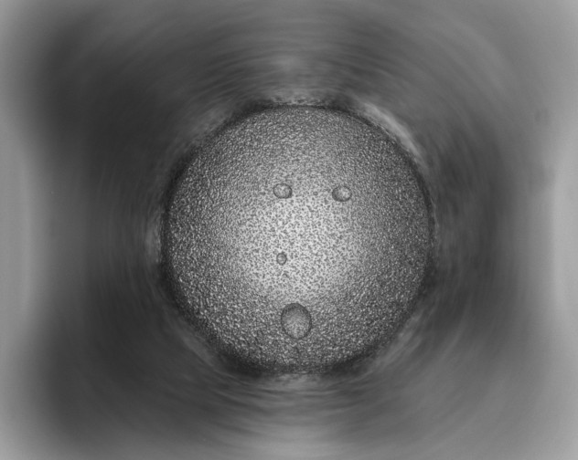 X0000095930065200801251058