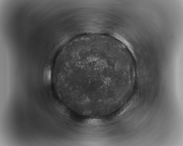 X0000095930067200801251058