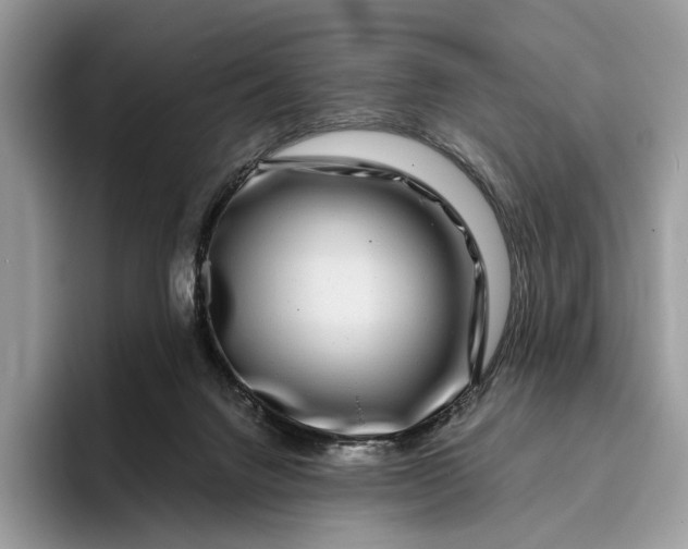 X0000095930072200801251058