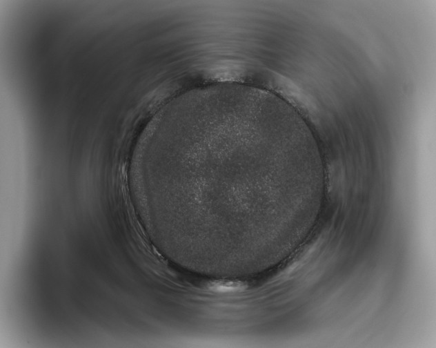 X0000095930073200801251058