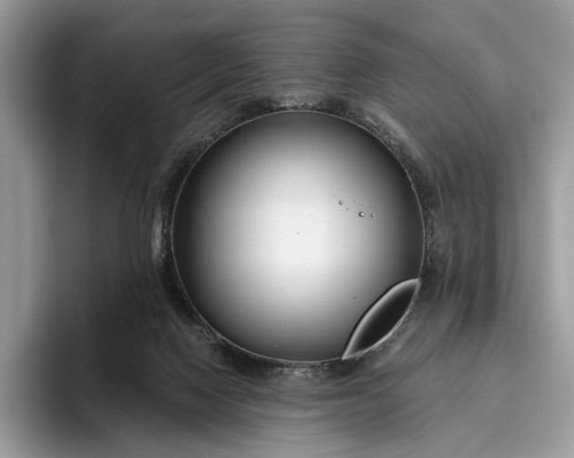 X0000095930074200801251058