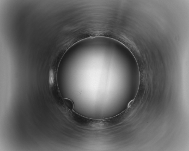 X0000095930075200801251058