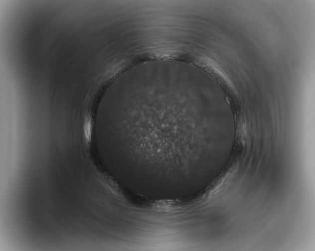 X0000095930076200801251058