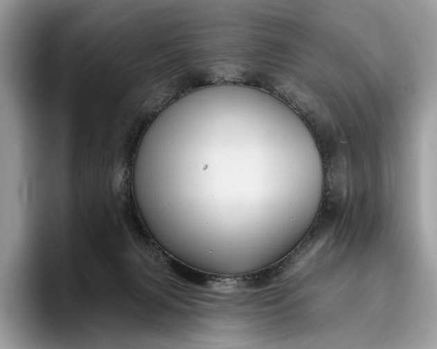 X0000095930079200801251058
