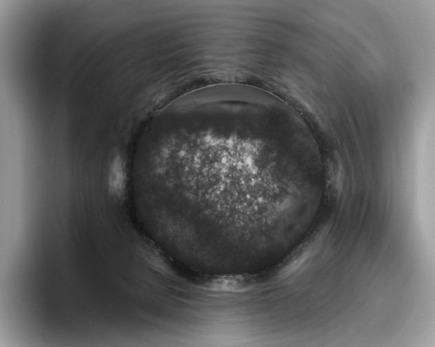 X0000095930080200801251058