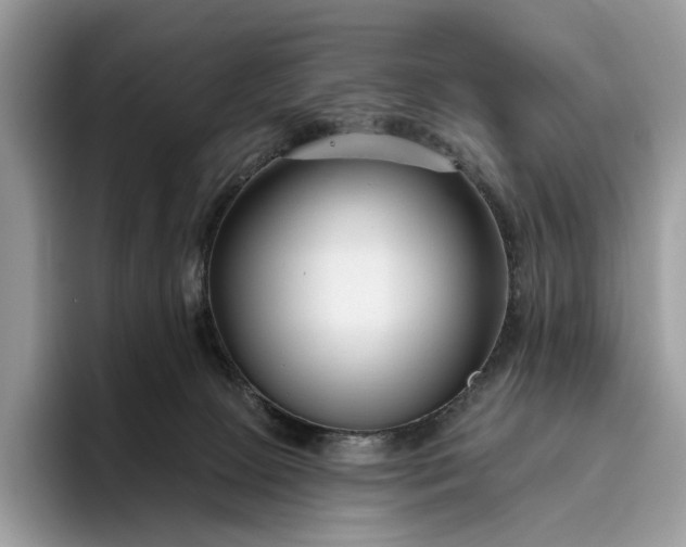 X0000095930081200801251058