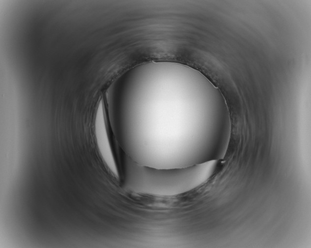X0000095930084200801251058