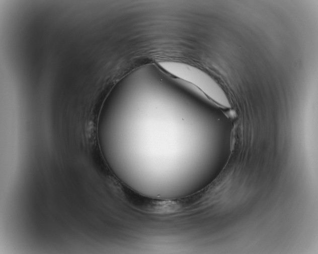 X0000095930087200801251058