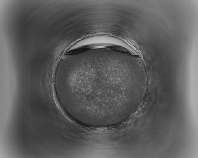 X0000095930097200801251058