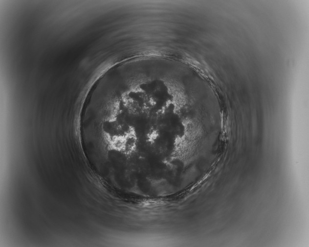 X0000095930099200801251058