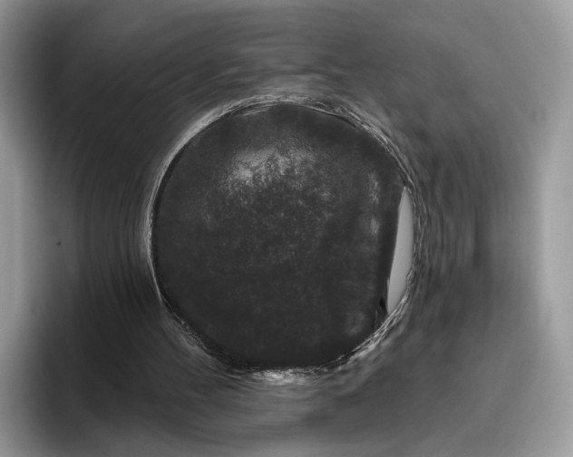 X0000095930100200801251058