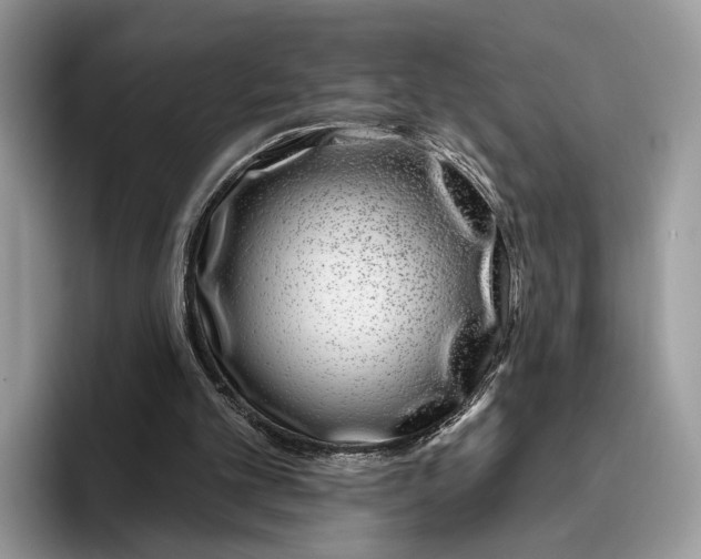 X0000095930101200801251058