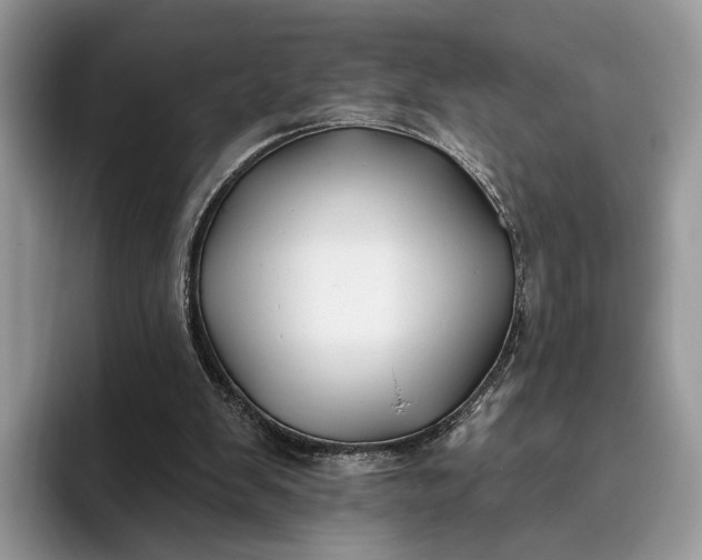 X0000095930103200801251058