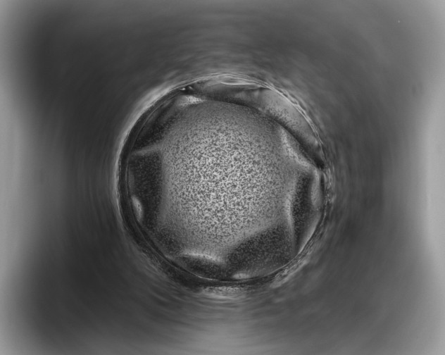 X0000095930104200801251058