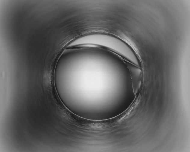 X0000095930105200801251058