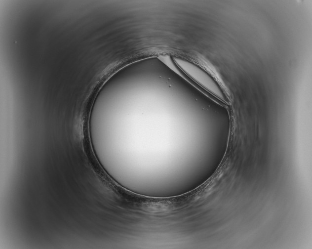 X0000095930106200801251058