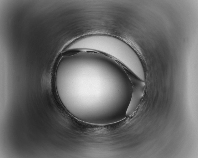 X0000095930108200801251058