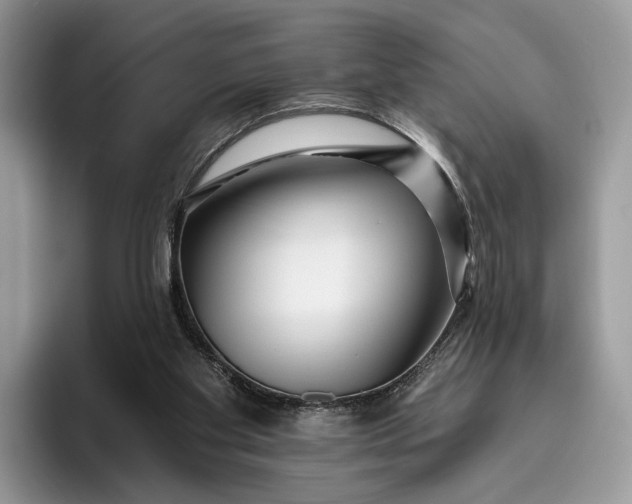 X0000095930109200801251058