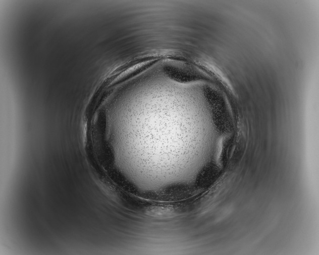 X0000095930110200801251058