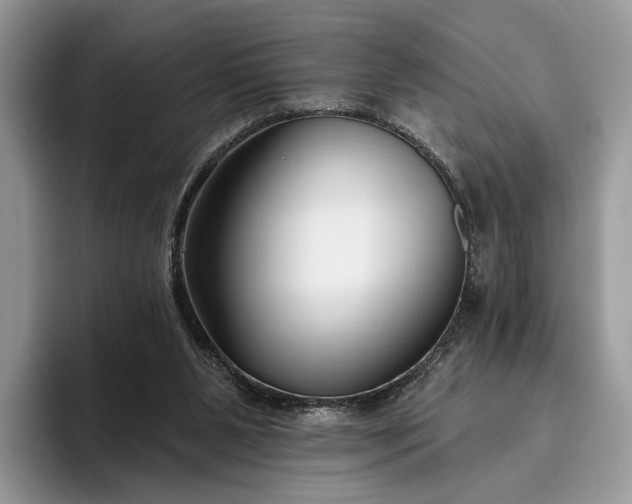 X0000095930111200801251058