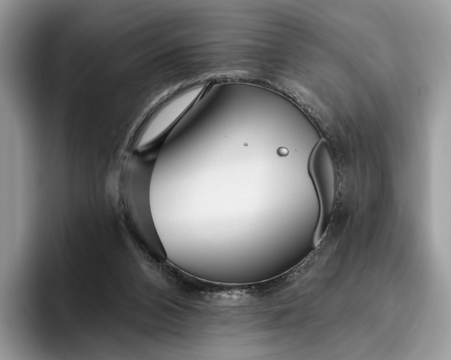 X0000095930112200801251058