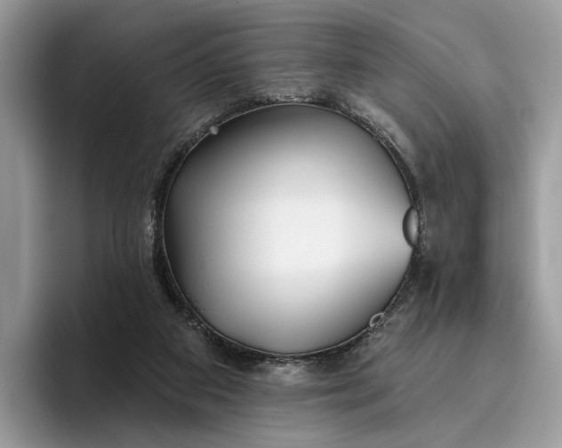 X0000095930113200801251057