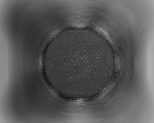 X0000095930114200801251057