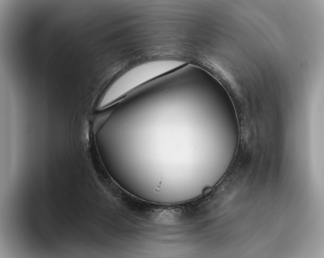 X0000095930115200801251057