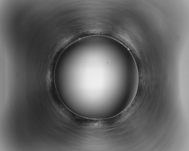 X0000095930116200801251057