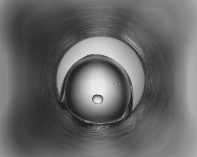 X0000095930117200801251057