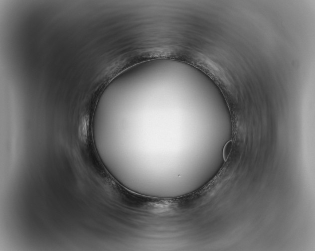 X0000095930118200801251057
