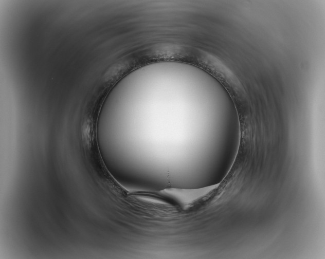 X0000095930119200801251057