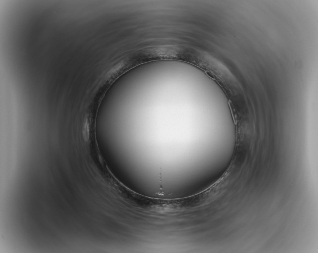X0000095930120200801251057