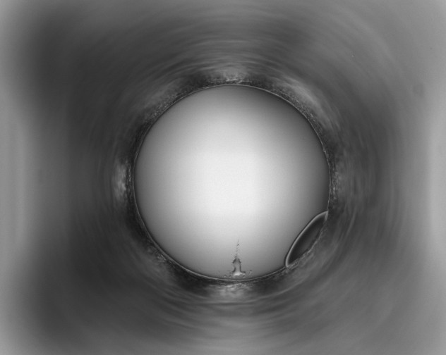 X0000095930122200801251057