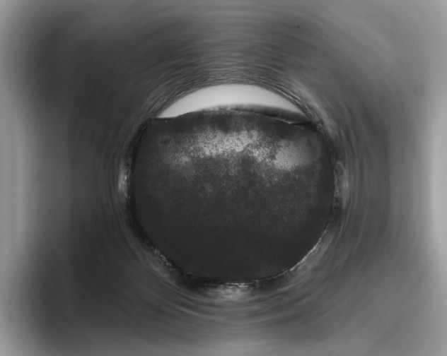 X0000095930124200801251057