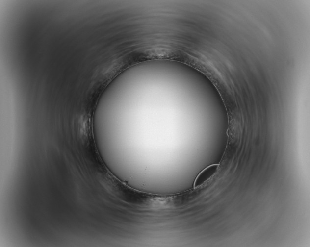 X0000095930126200801251057