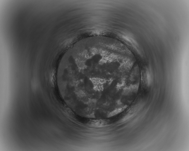 X0000095930127200801251057