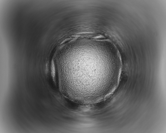 X0000095930131200801251057