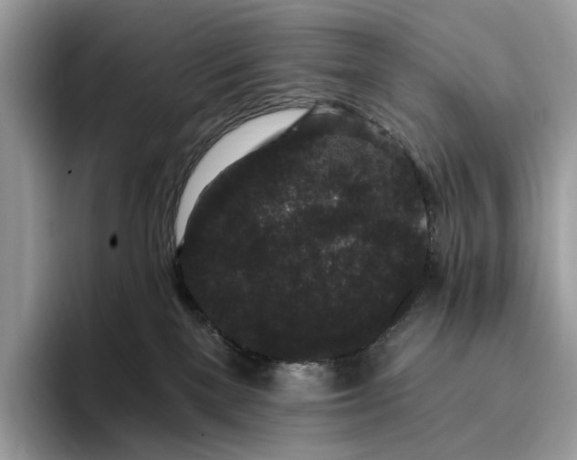X0000095930137200801251057