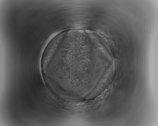 X0000095930147200801251056