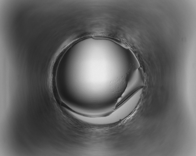 X0000095930150200801251057