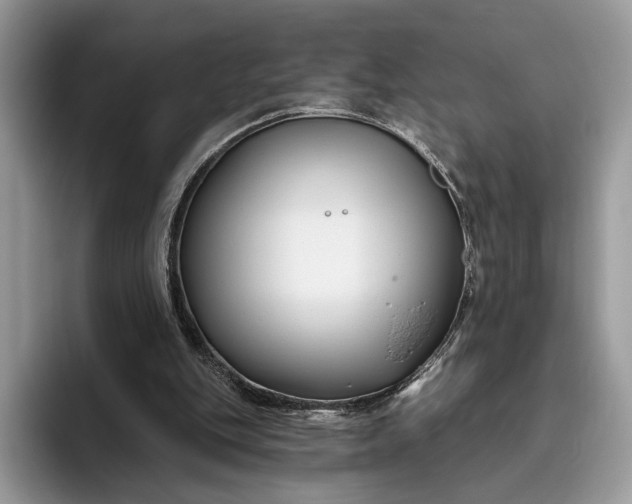 X0000095930151200801251057