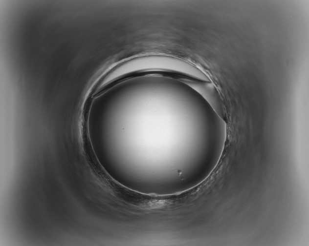 X0000095930152200801251057