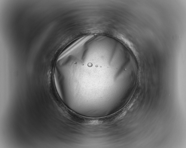 X0000095930153200801251057