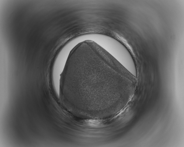 X0000095930154200801251057